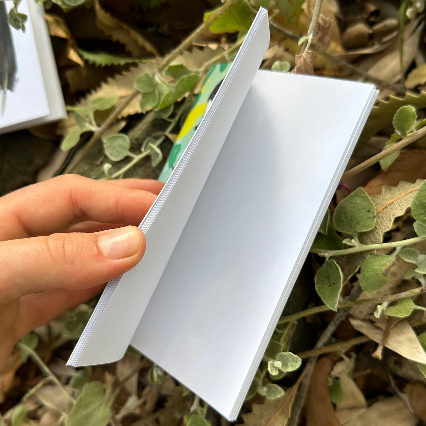 A6 Pocket Notebook: Female RTBC II