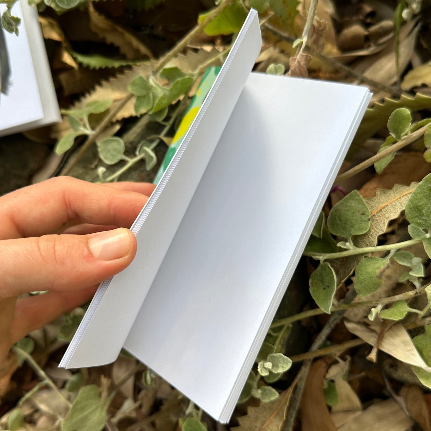 A6 Pocket Notebook: WA Feathers