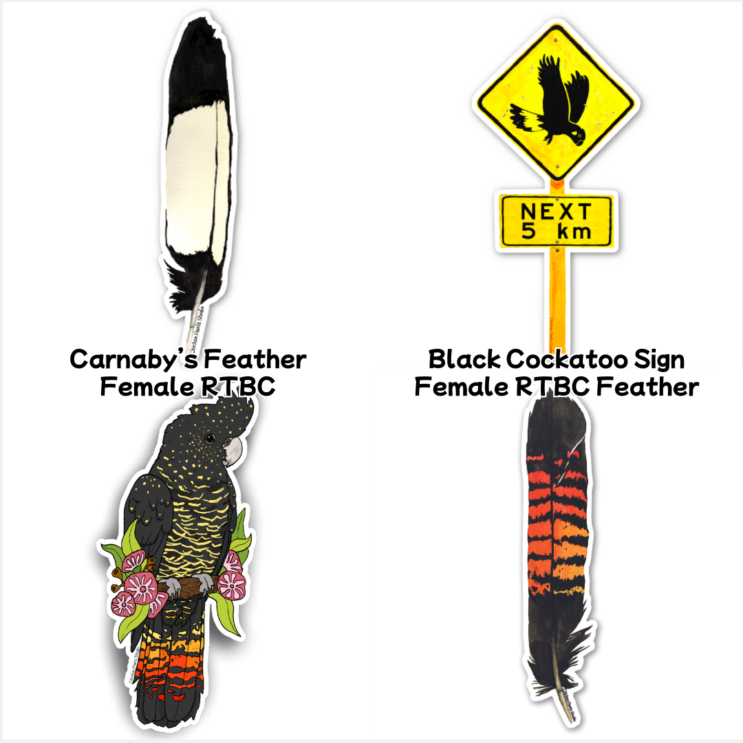 Mix & Match - 5 Sticker Combo