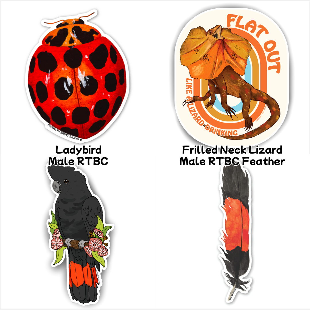 Mix & Match - 5 Sticker Combo
