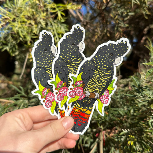 Black Cockatoo 3-Pack Sticker Set