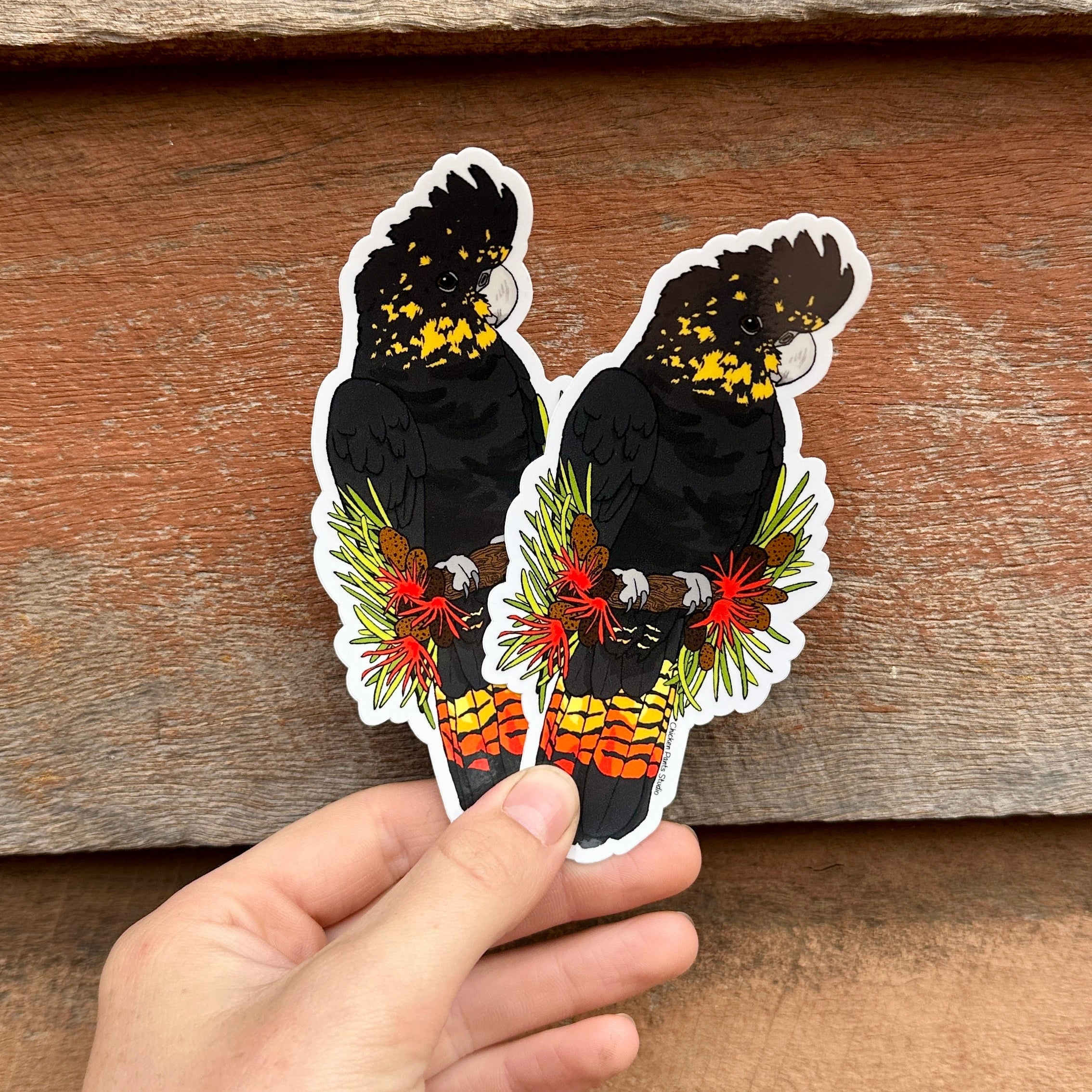 Sticker: Glossy Black Cockatoo