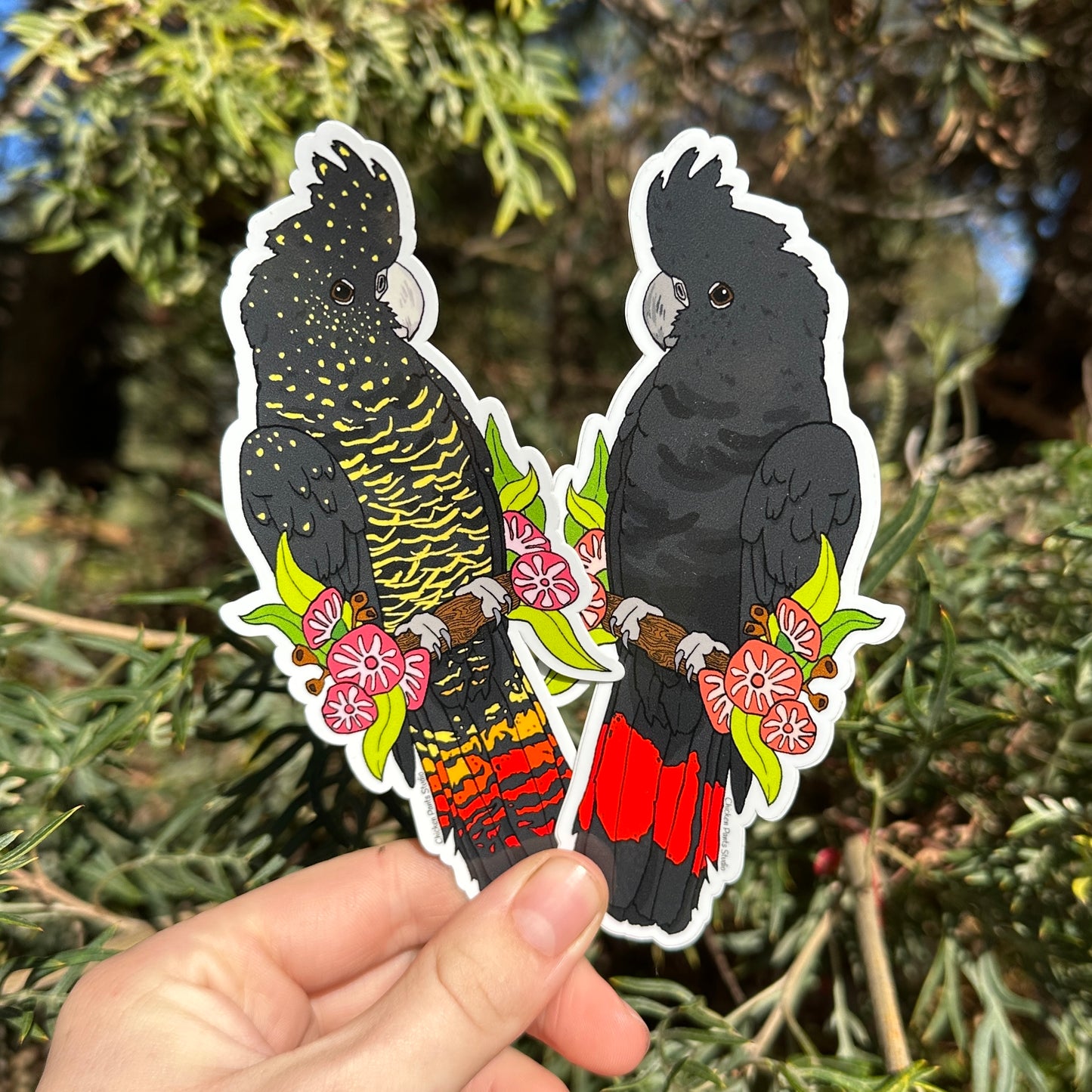 Big Black Cockatoo 8-Pack Sticker Set