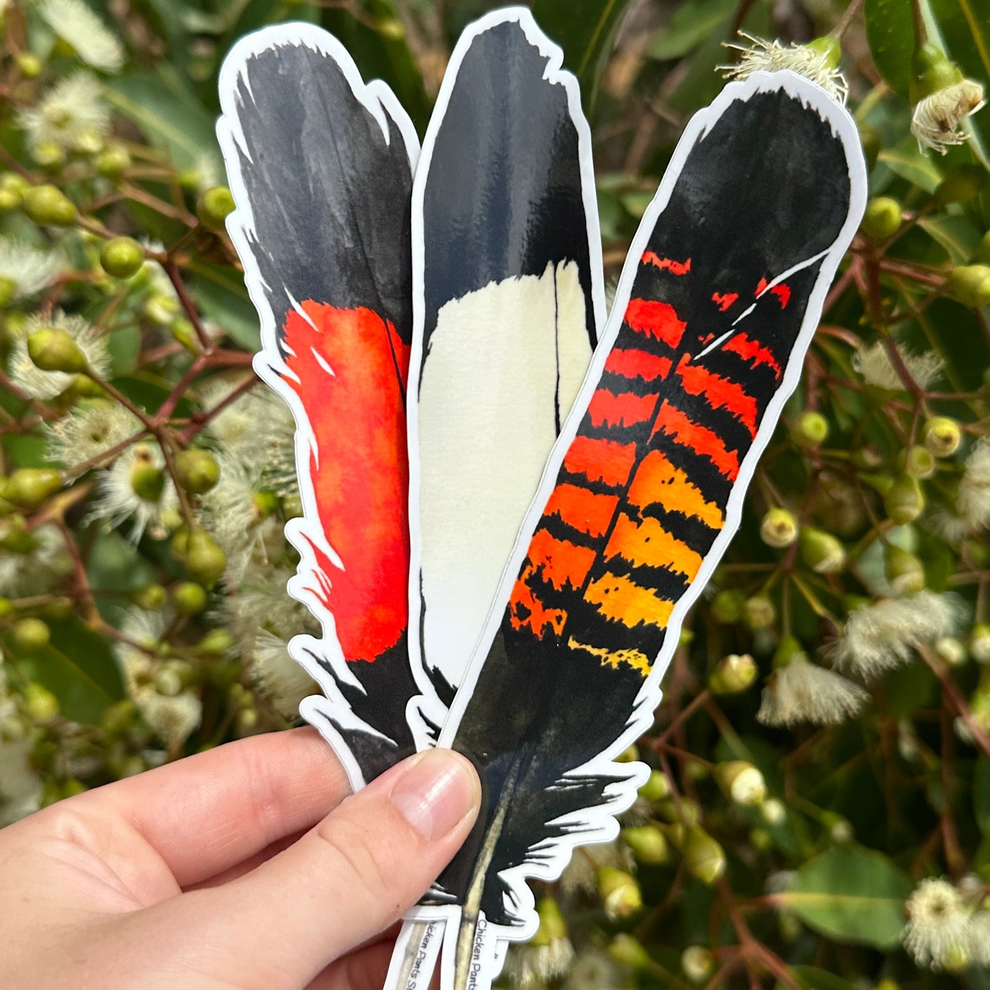 Black Cockatoo Feather 3-Pack Sticker Set