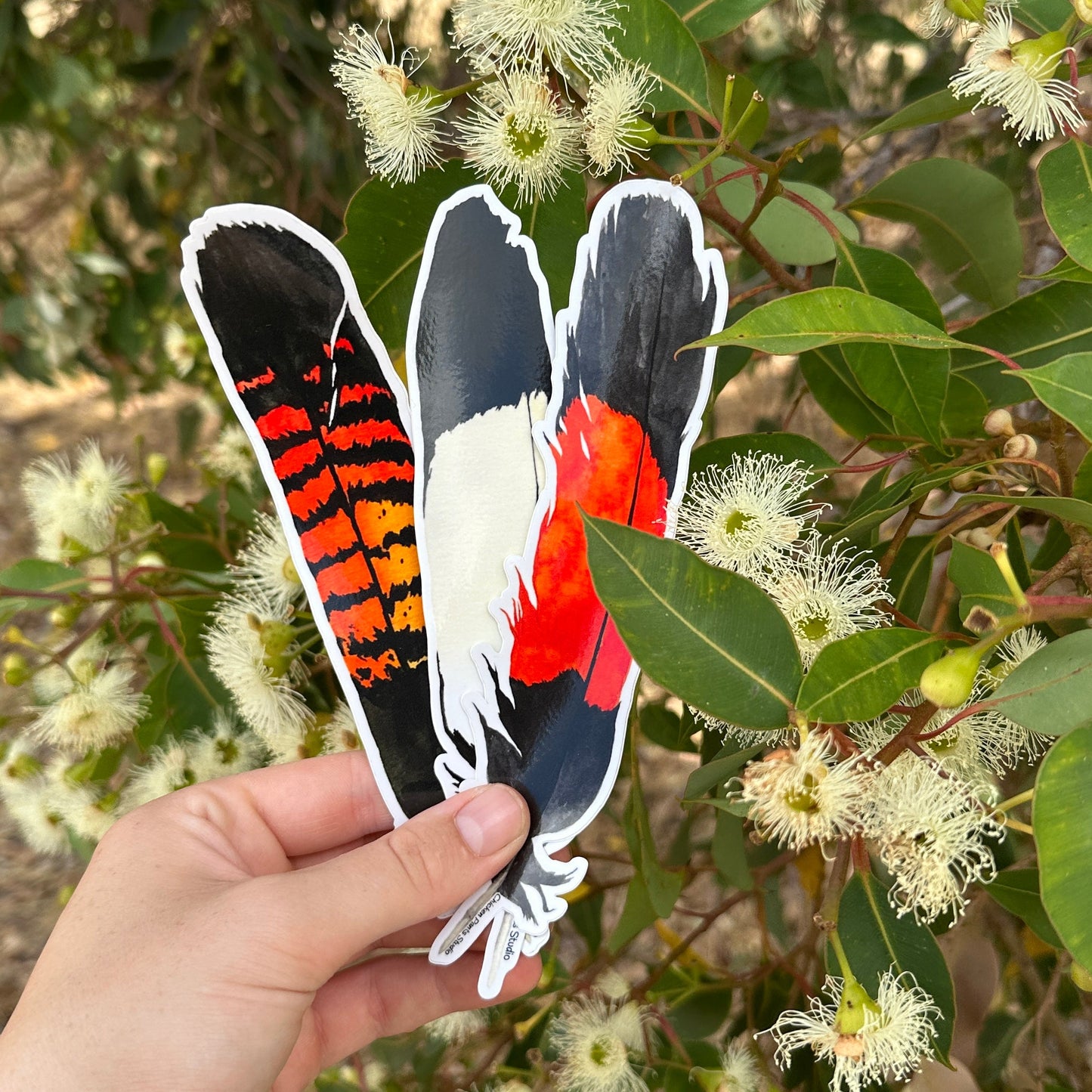 Black Cockatoo Feather 3-Pack Sticker Set