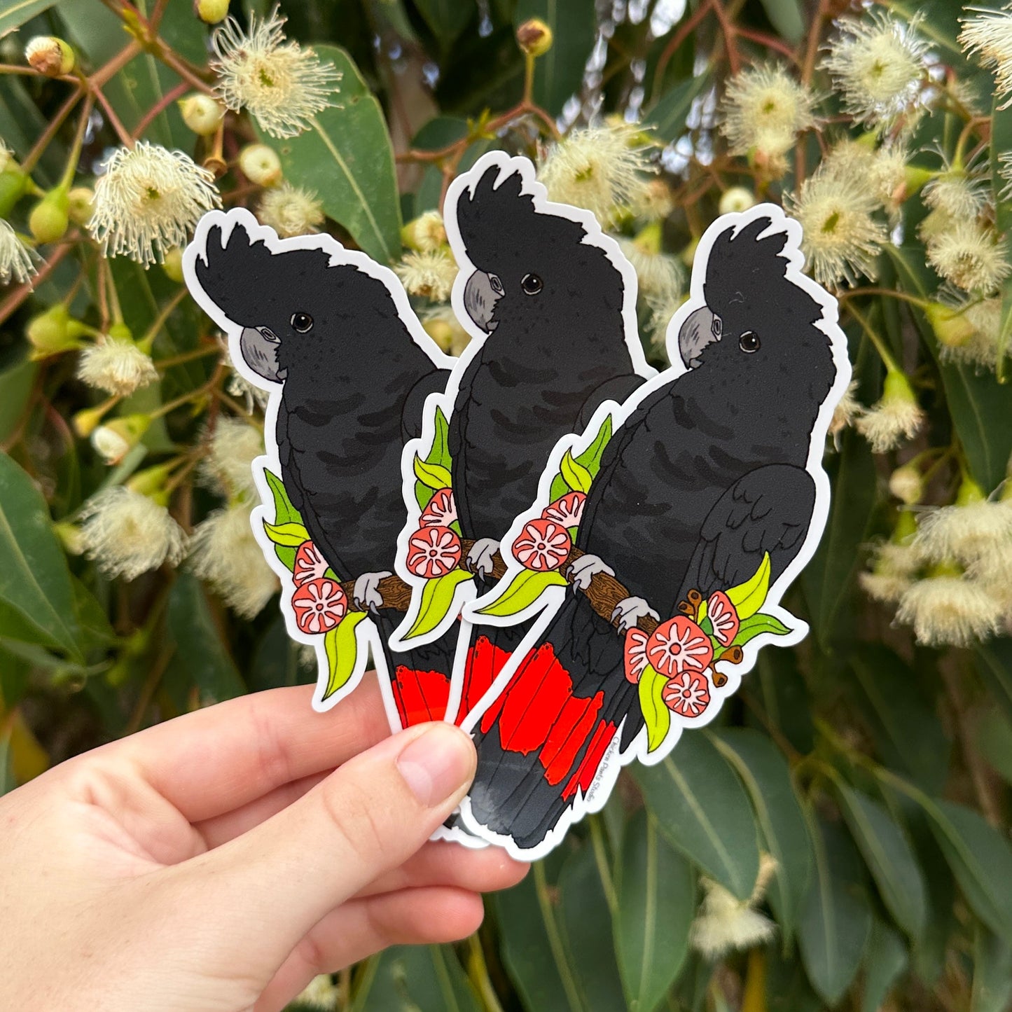 Black Cockatoo 3-Pack Sticker Set