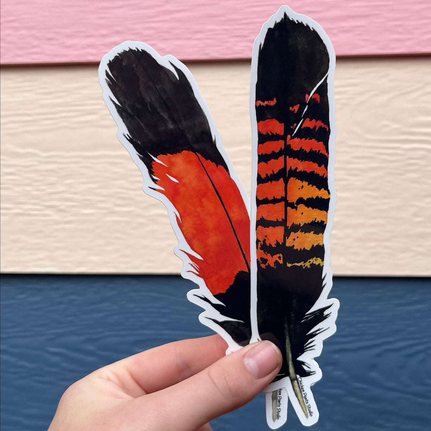 Sticker: Female RTBC Feather