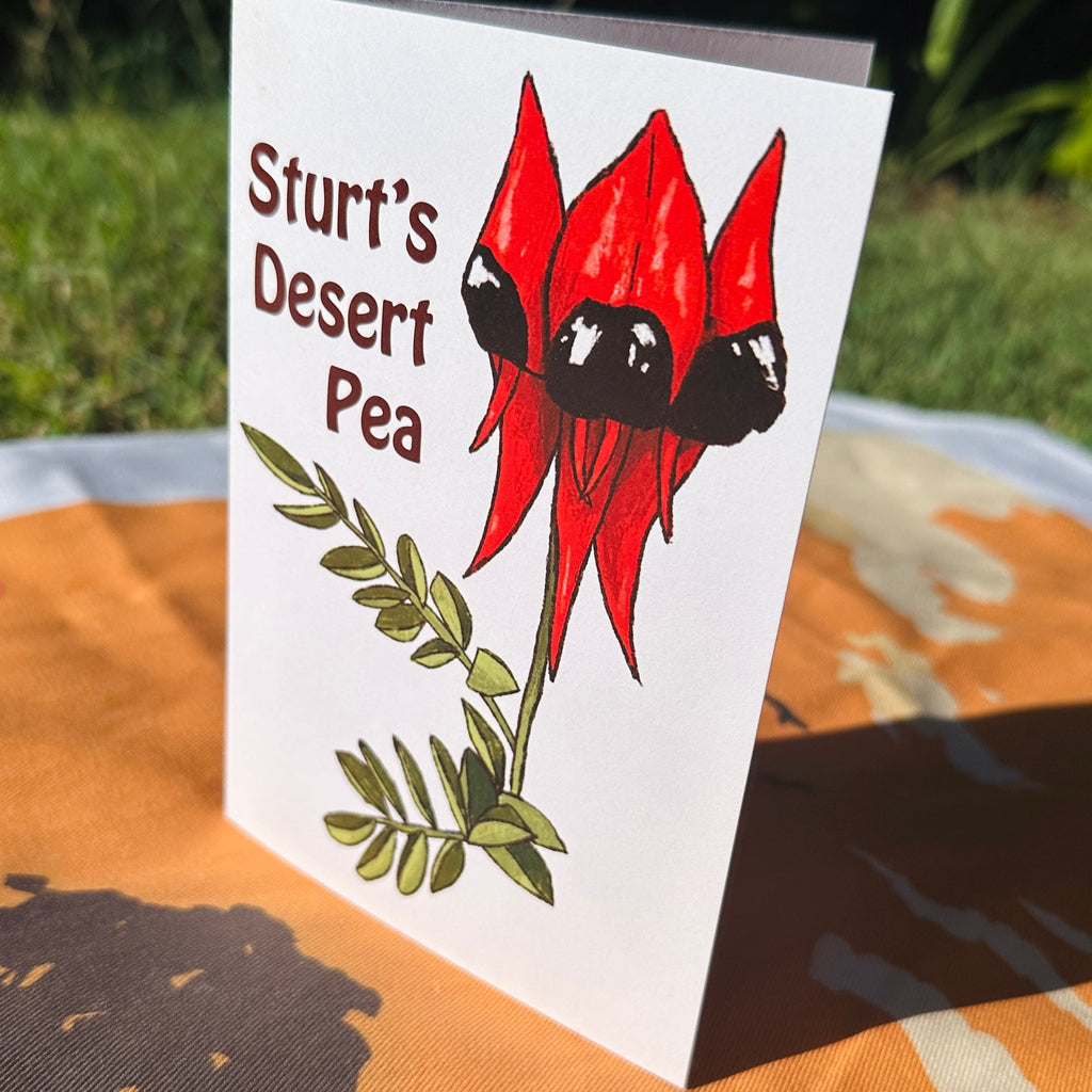 Card: Sturt Desert Pea