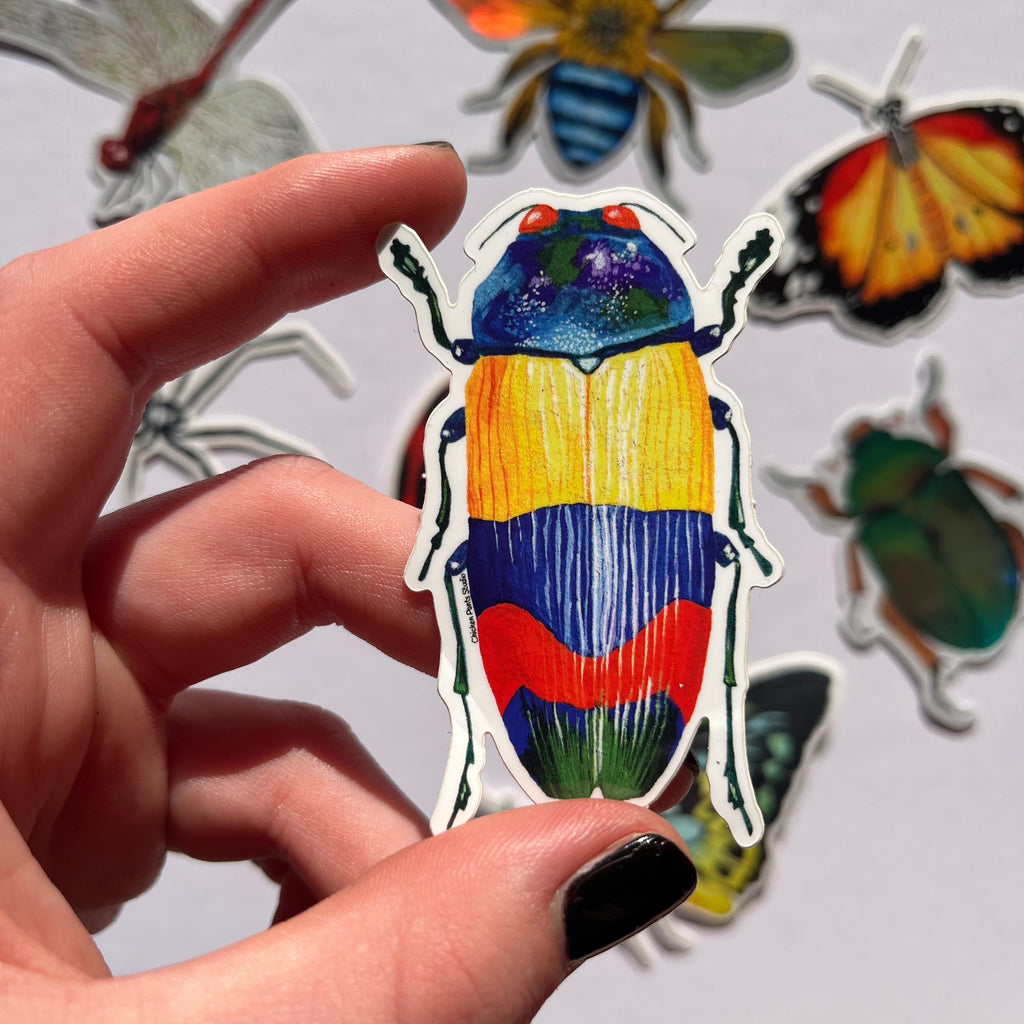 Sticker: Jewel Beetle