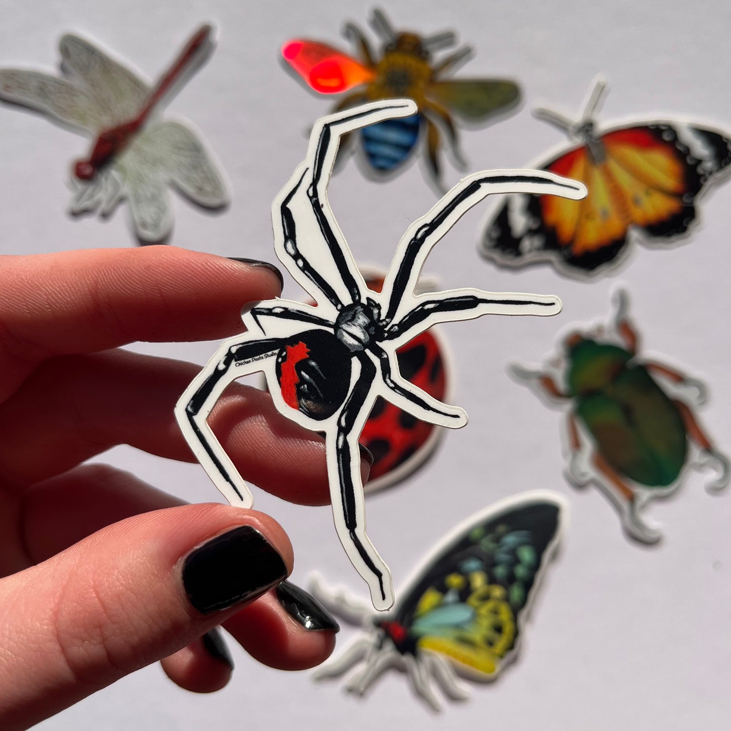 Insect 7-Pack Sticker Set