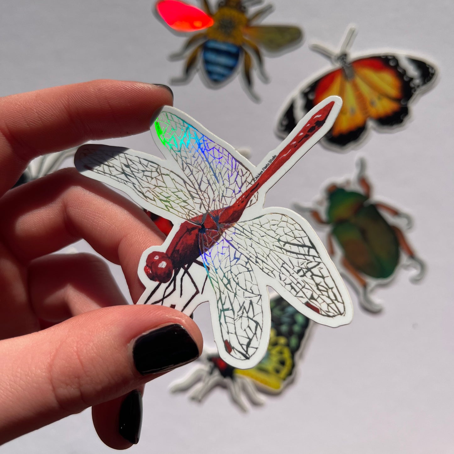 Sticker: Scarlet Dragonfly