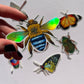 Insect 7-Pack Sticker Set