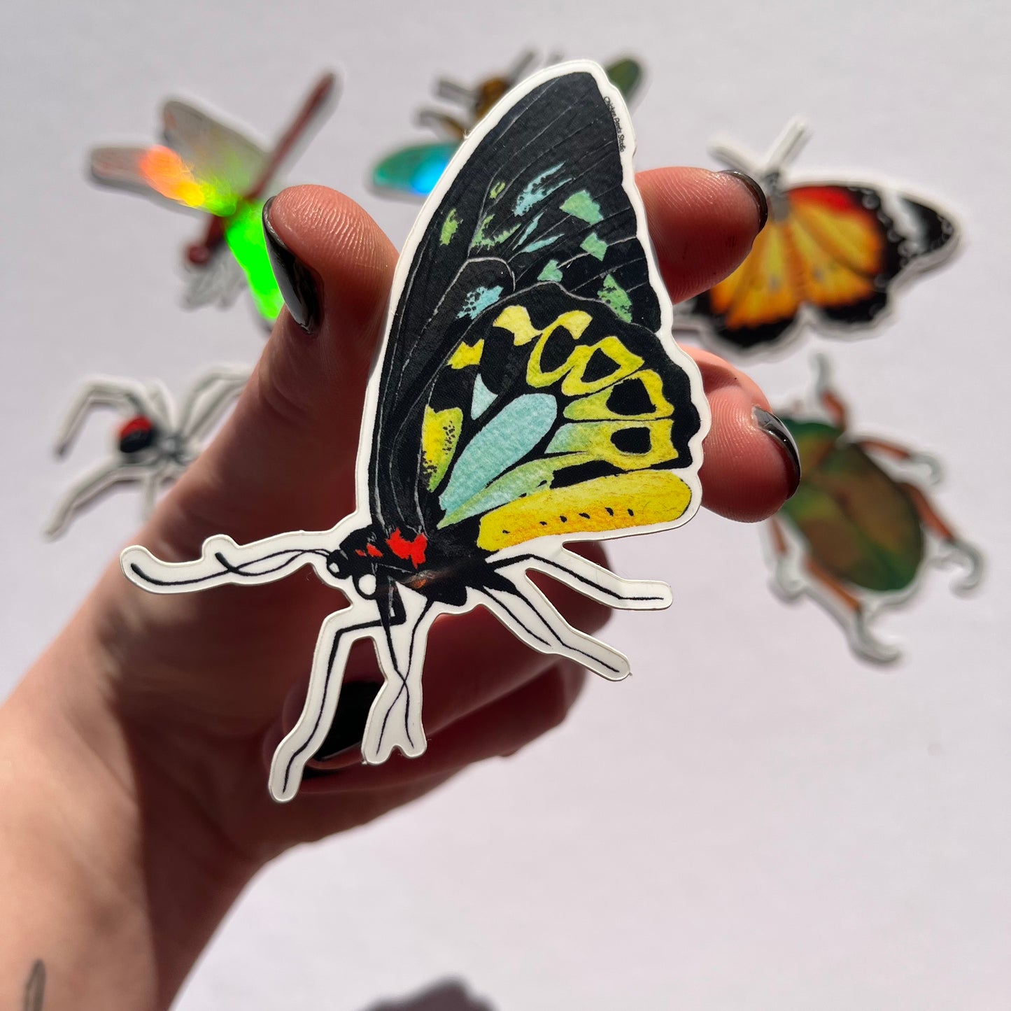 Insect 7-Pack Sticker Set