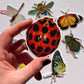 Insect 7-Pack Sticker Set