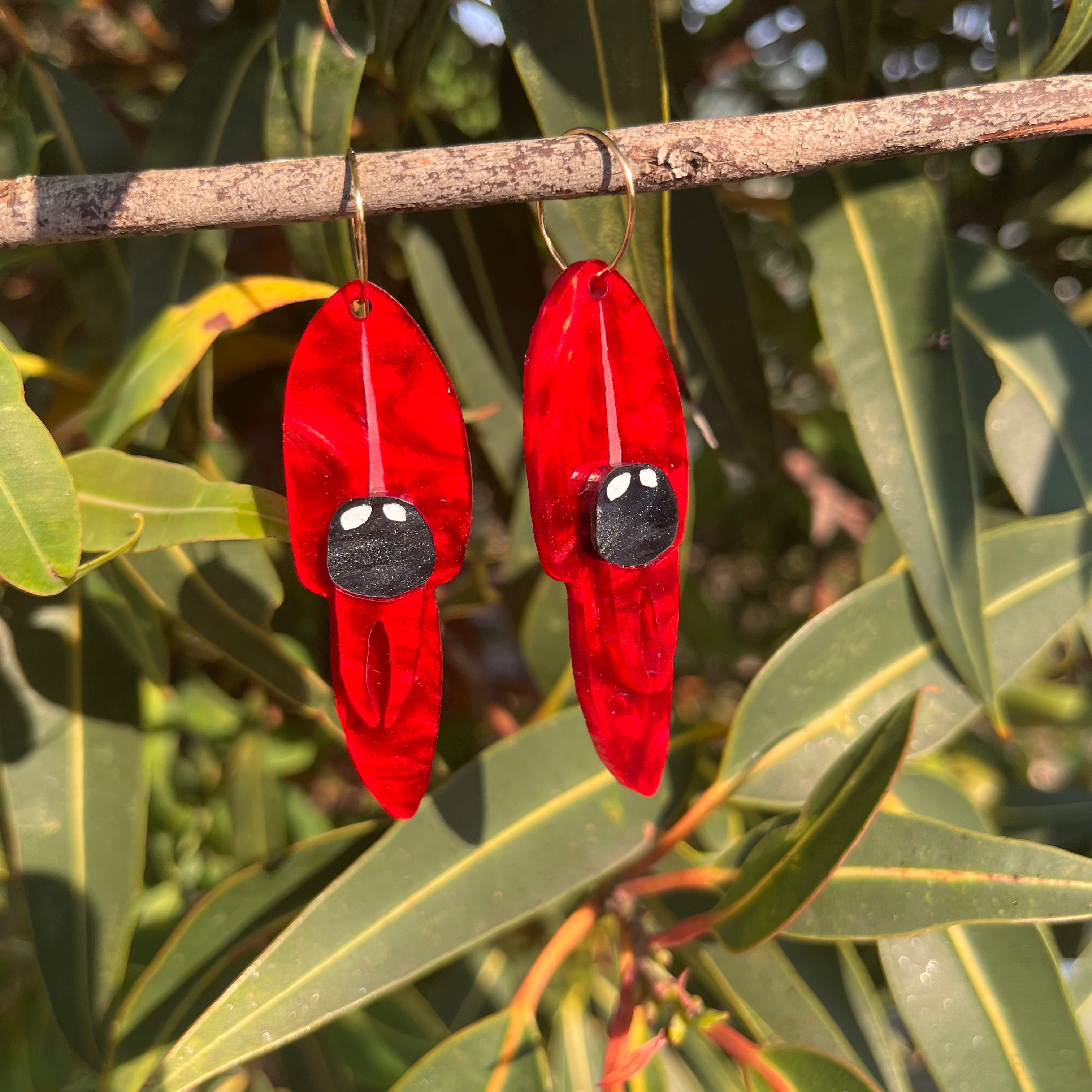 Earrings: Sturt Desert Pea