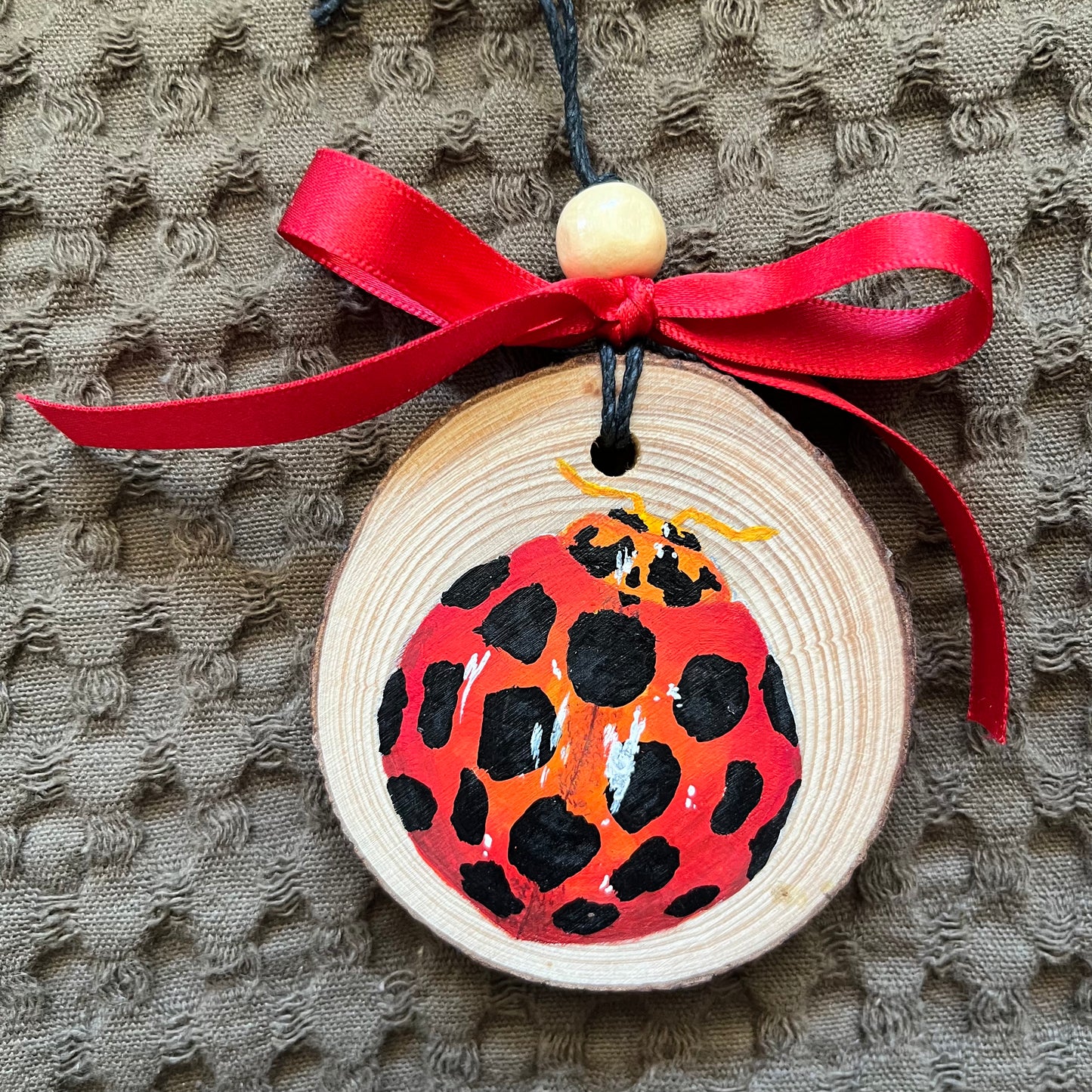 Ladybird Ornament