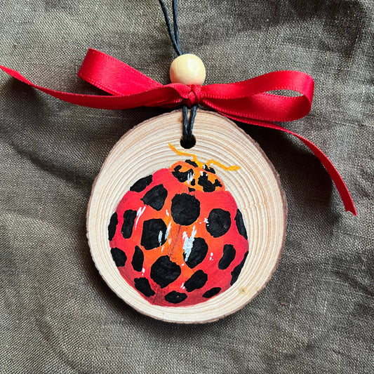 Ladybird Ornament