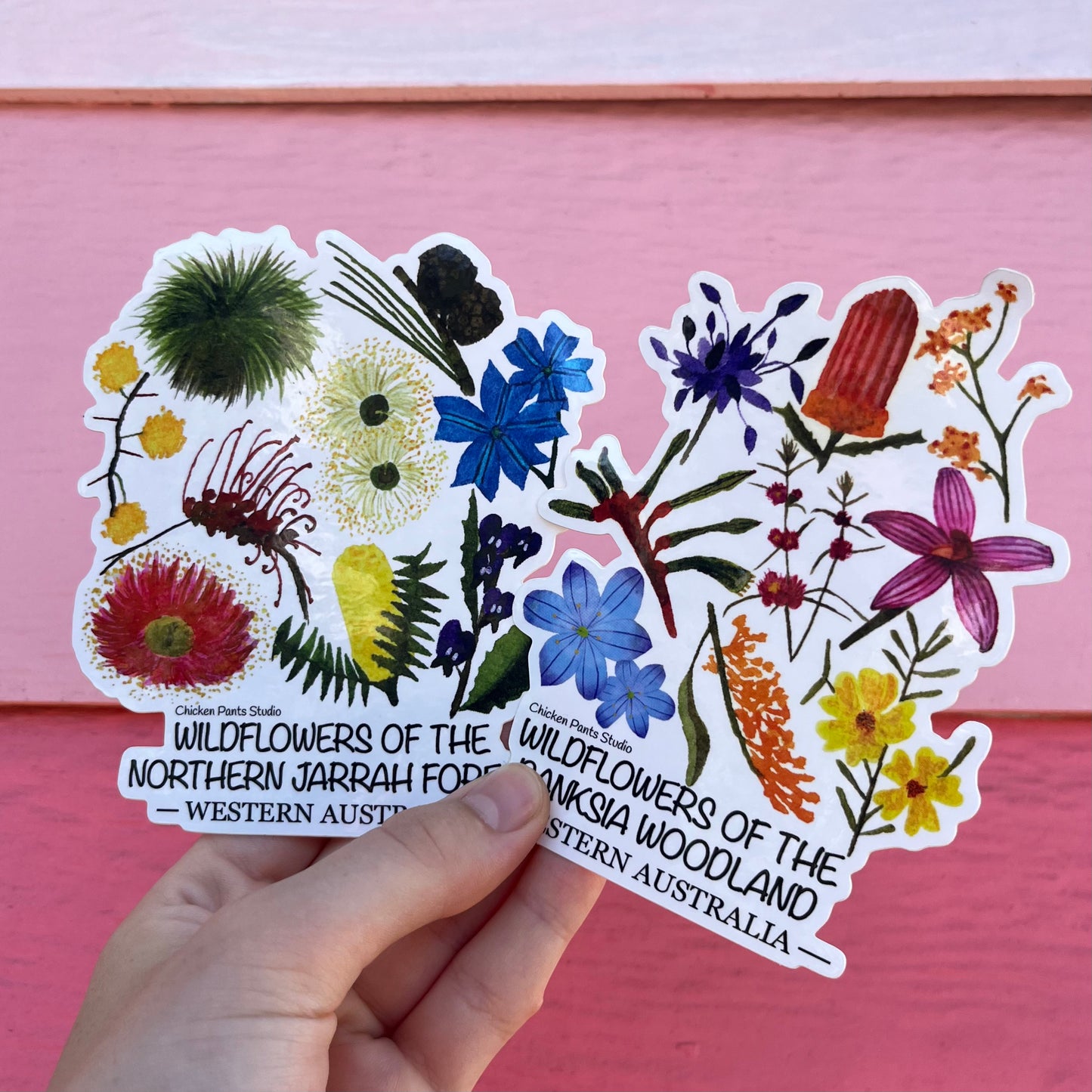 Sticker: Banksia Woodland