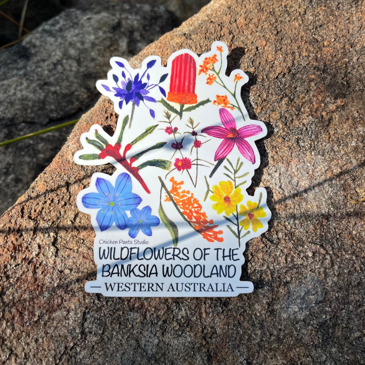 Sticker: Banksia Woodland