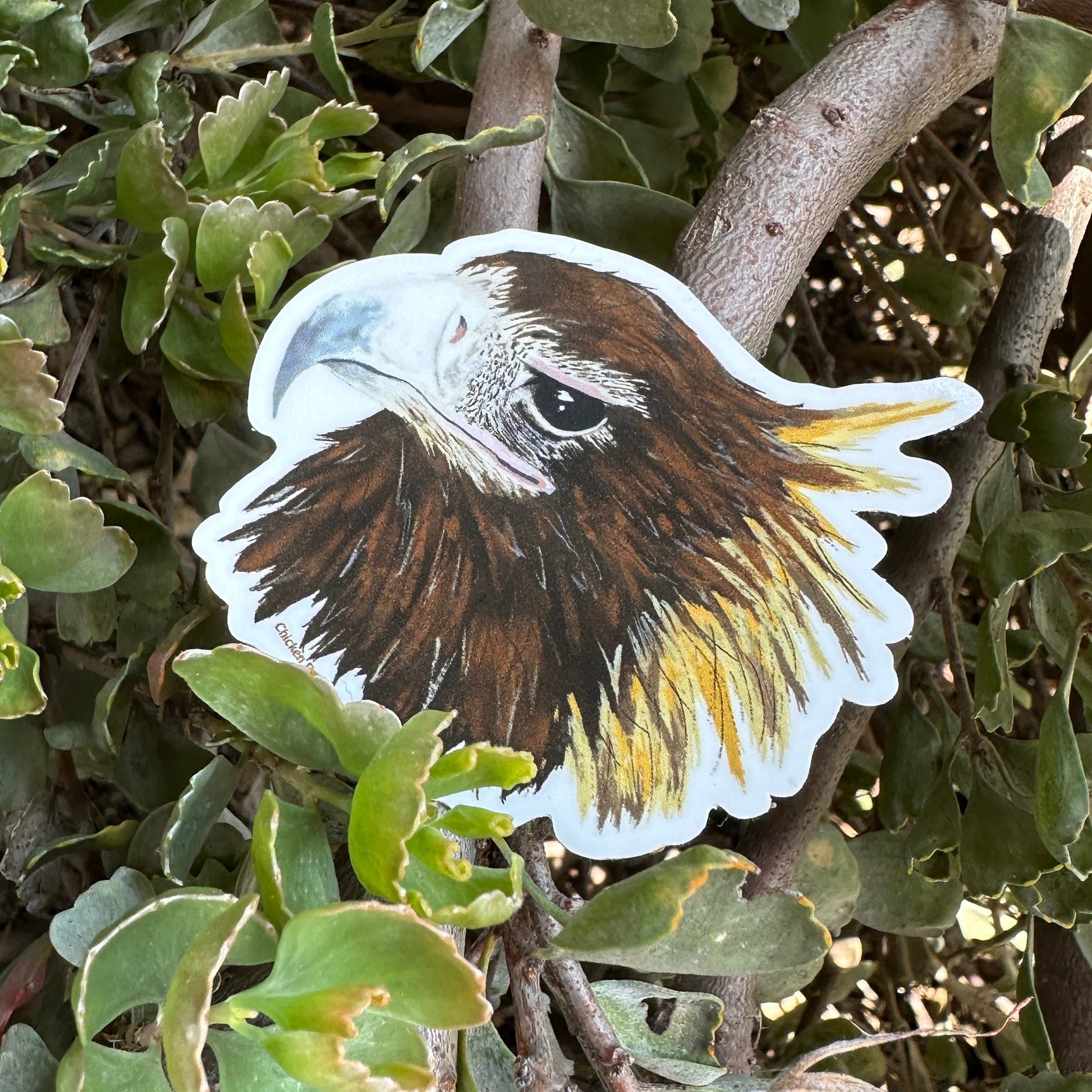 Sticker of an eagle on a branch with green leaves