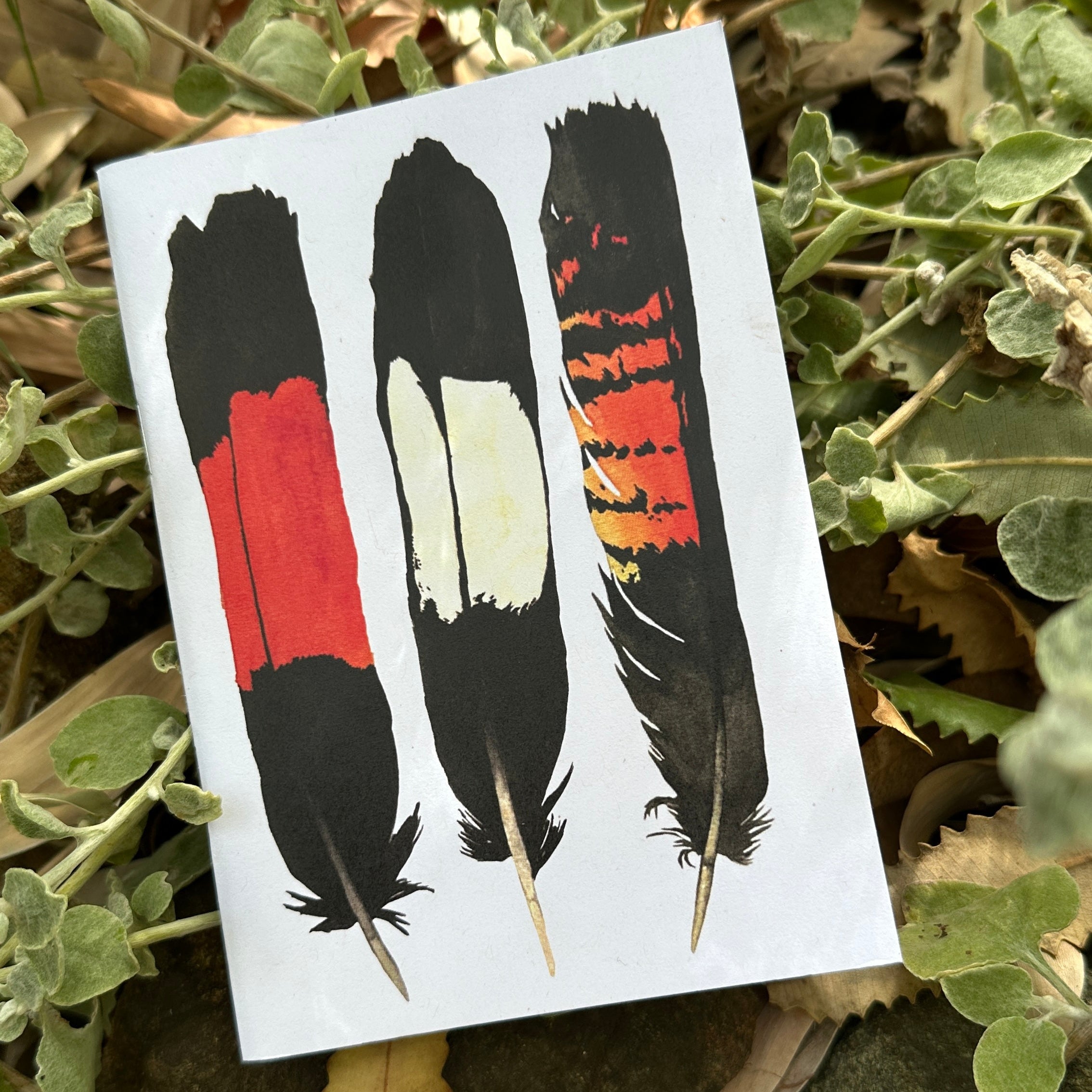 A6 Pocket Notebook: WA Feathers