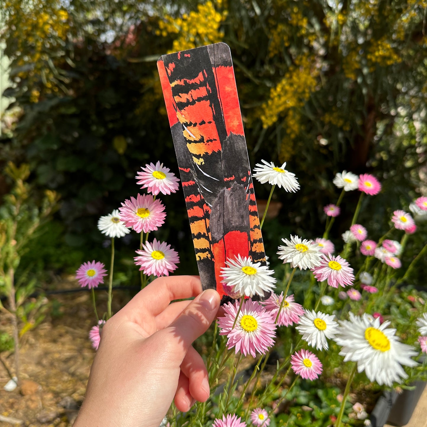 Bookmark: Red-Tail Black Cockatoo Feather