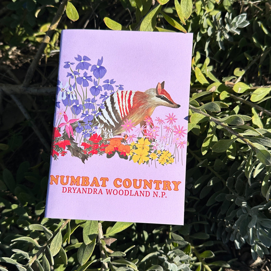 A6 Pocket Notebook: Numbat