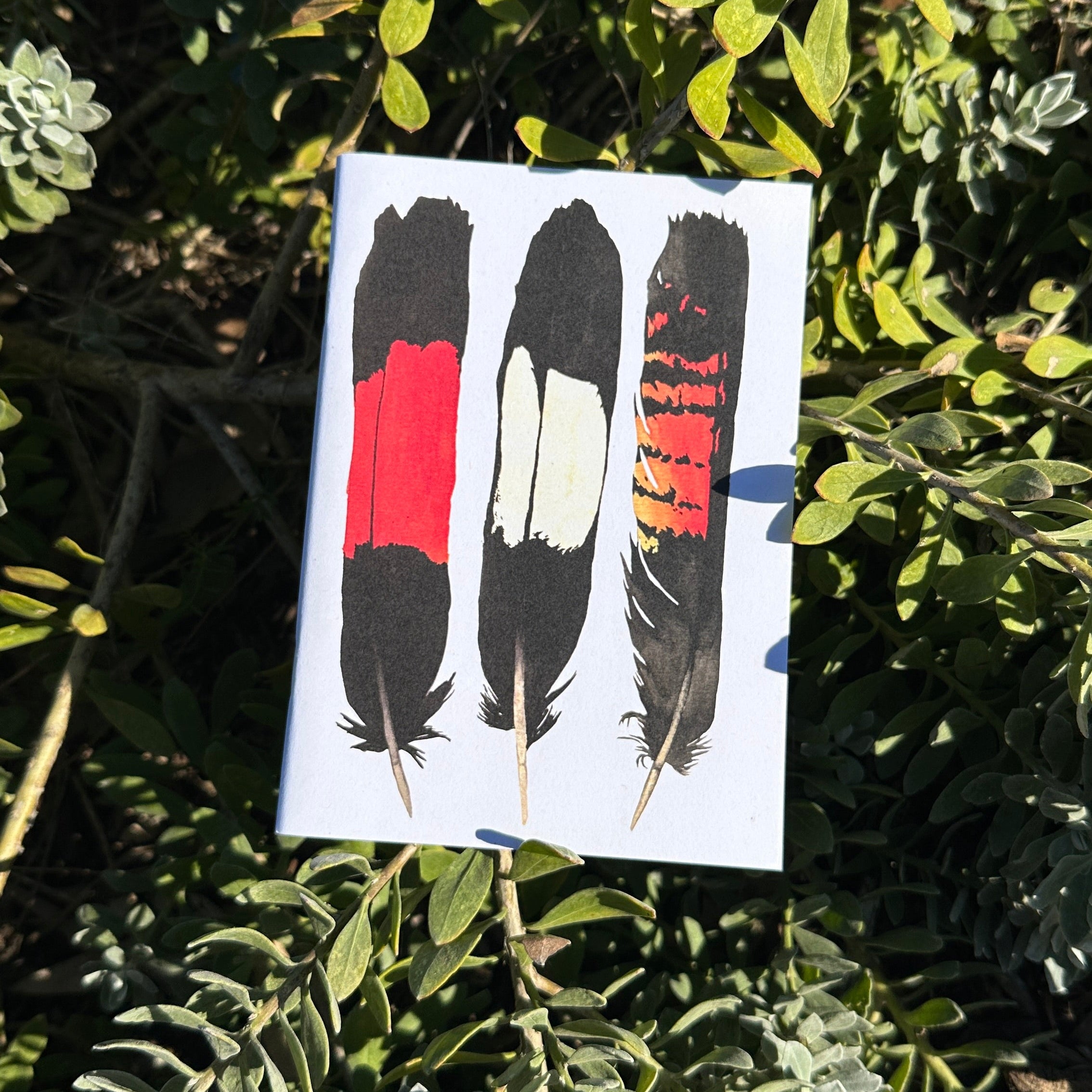 A6 Pocket Notebook: WA Feathers