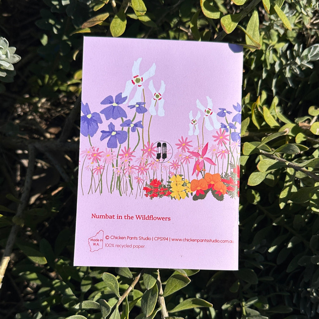 A6 Pocket Notebook: Numbat