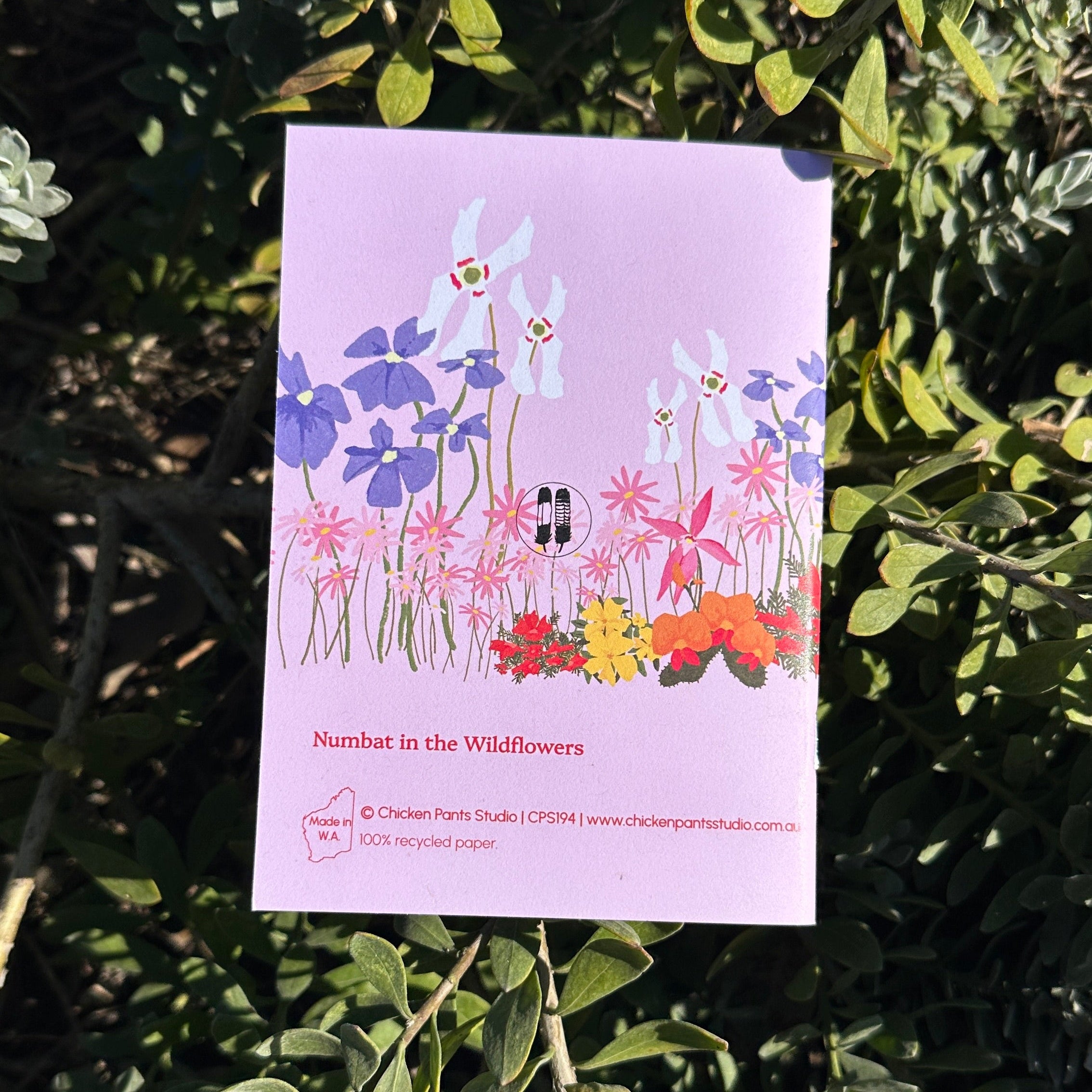 A6 Pocket Notebook: Numbat