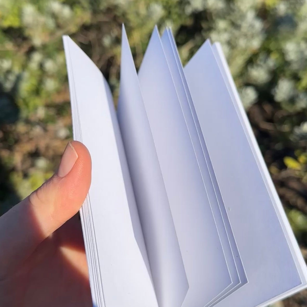 A6 Pocket Notebook: Black Swan