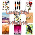 Lucky Dip Cards - 5 Pack