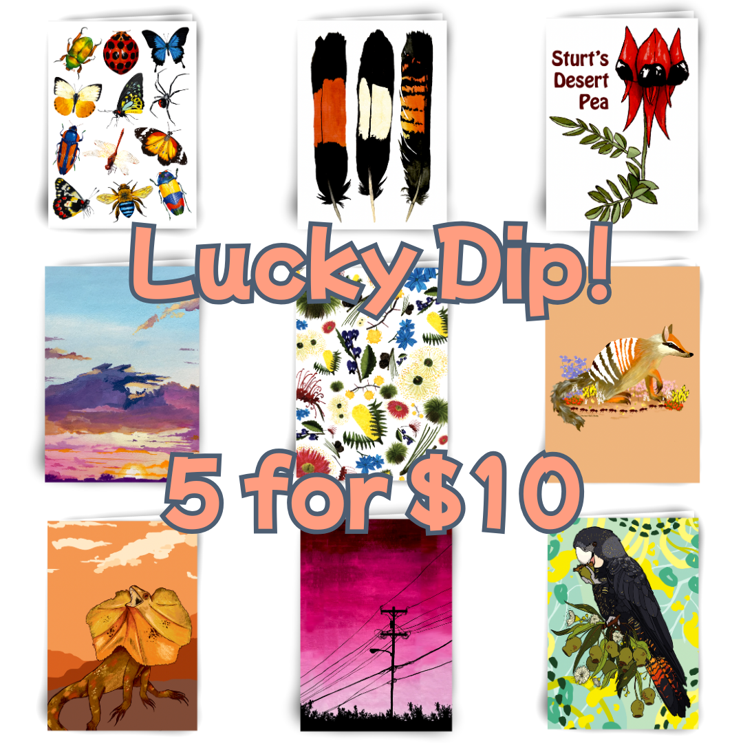 Lucky Dip Cards - 5 Pack