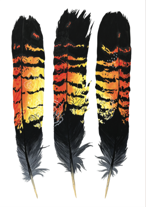 Female RTBC Feathers II A4 Print