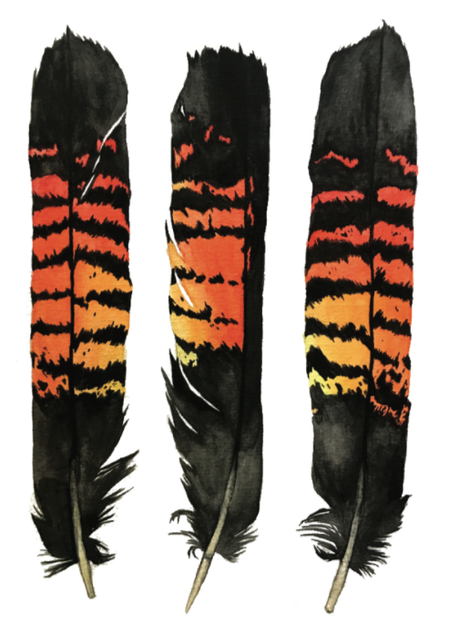 Female RTBC Feathers I A4 Print