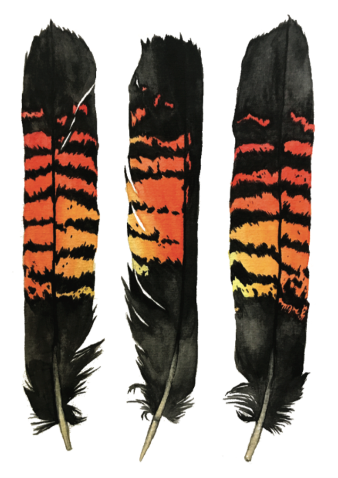 A4 Print: Female RTBC Feathers I