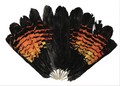 A4 Print: Female RTBC Feather Fan