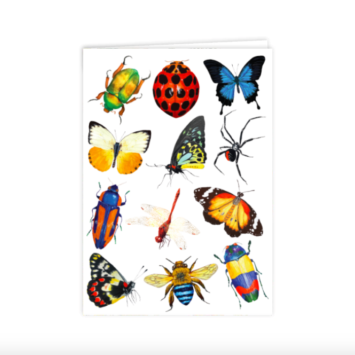 Card: Insects of Australia