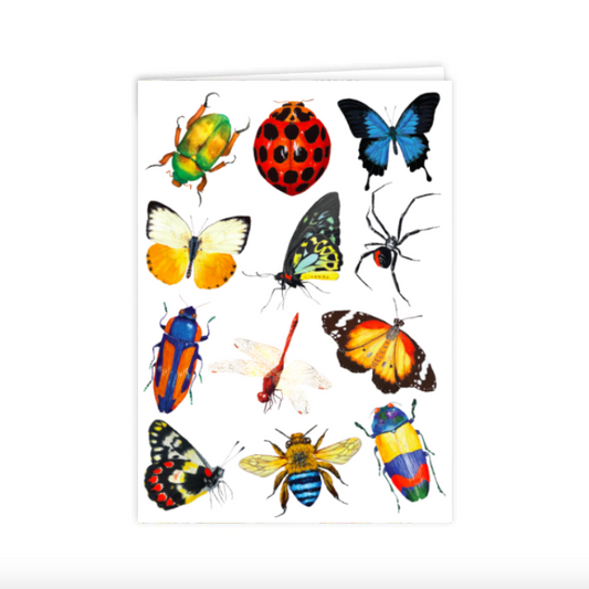 Insects of Australia Greeting Card
