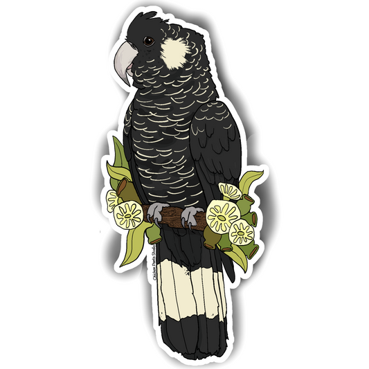 Sticker: Baudin's Black Cockatoo