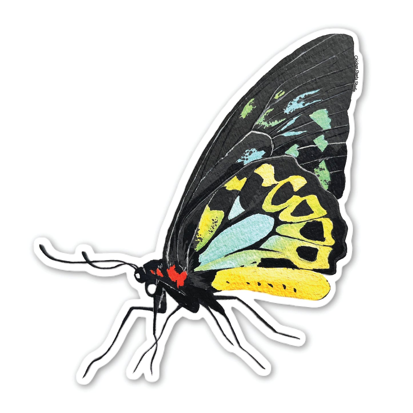 Sticker: Birdwing Butterfly