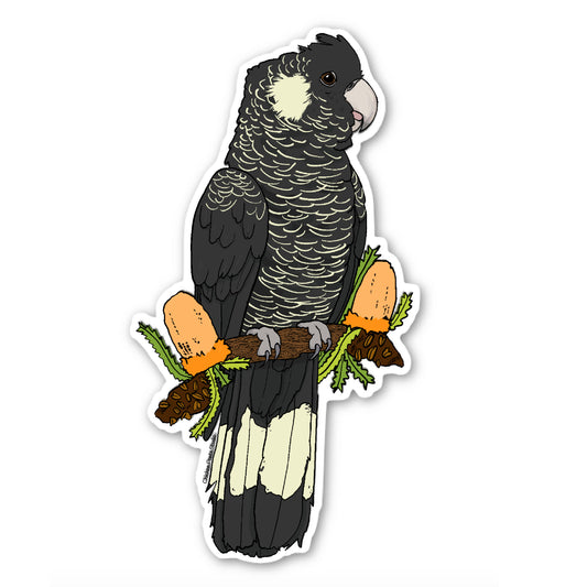 Carnaby's Black Cockatoo Sticker