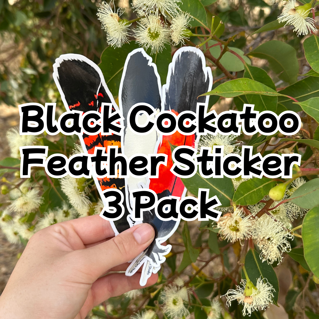 Black Cockatoo Feather 3-Pack Sticker Set – Chicken Pants Studio