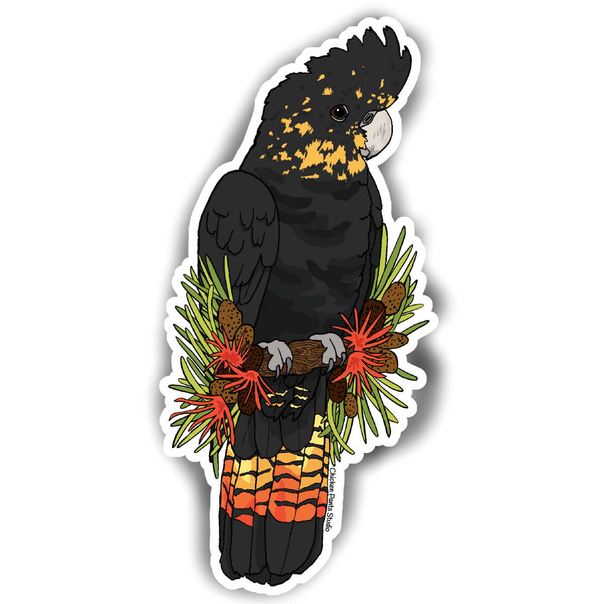 Sticker: Glossy Black Cockatoo – Chicken Pants Studio