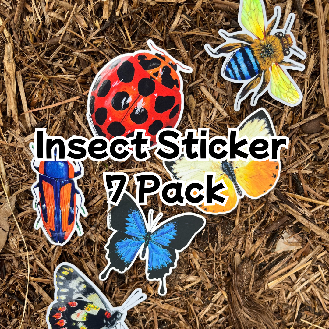 Bugs Sticker Set Insect 7-Pack Sticker Set – Chicken Pants Studio