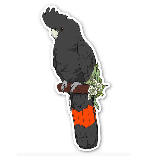 Male Red-Tail Black Cockatoo Sticker