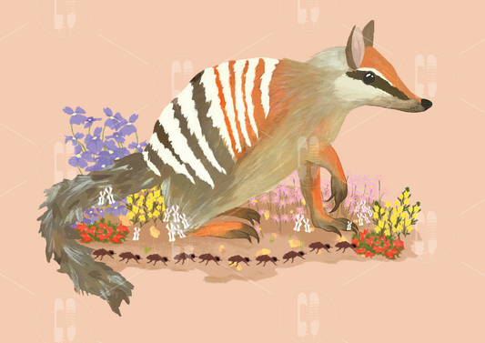 Numbat A5 Print