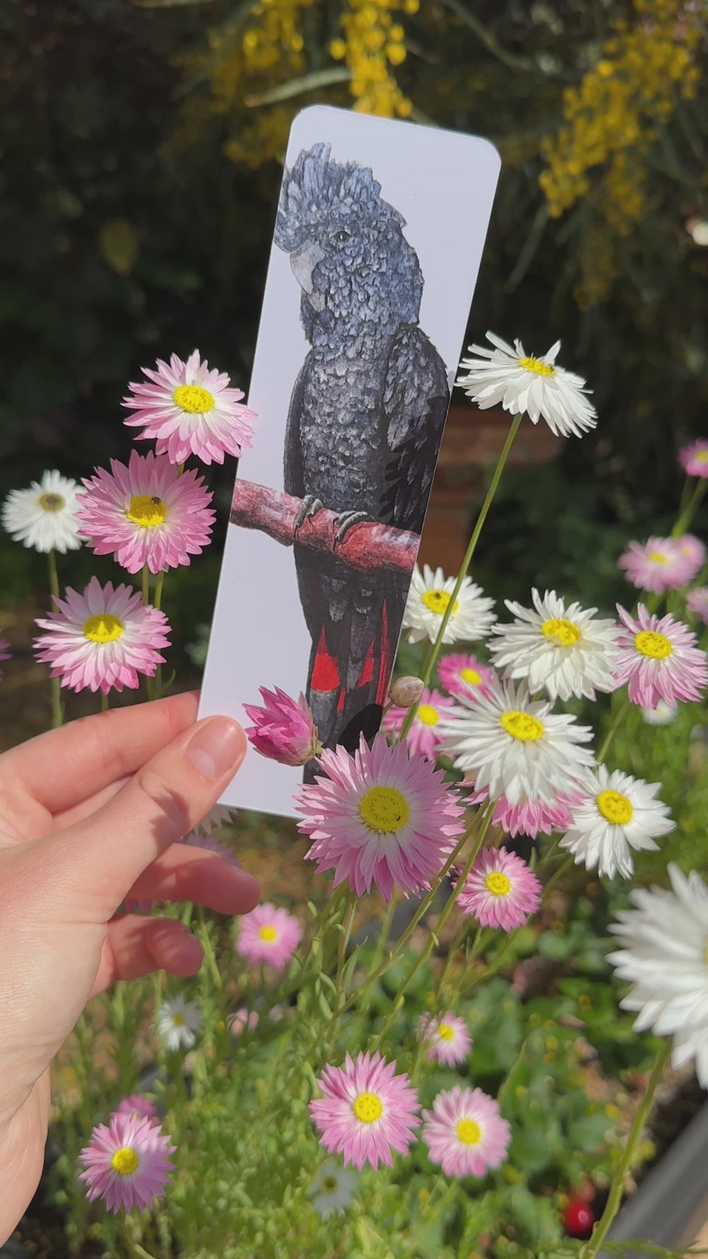 Bookmark: Male RTBC