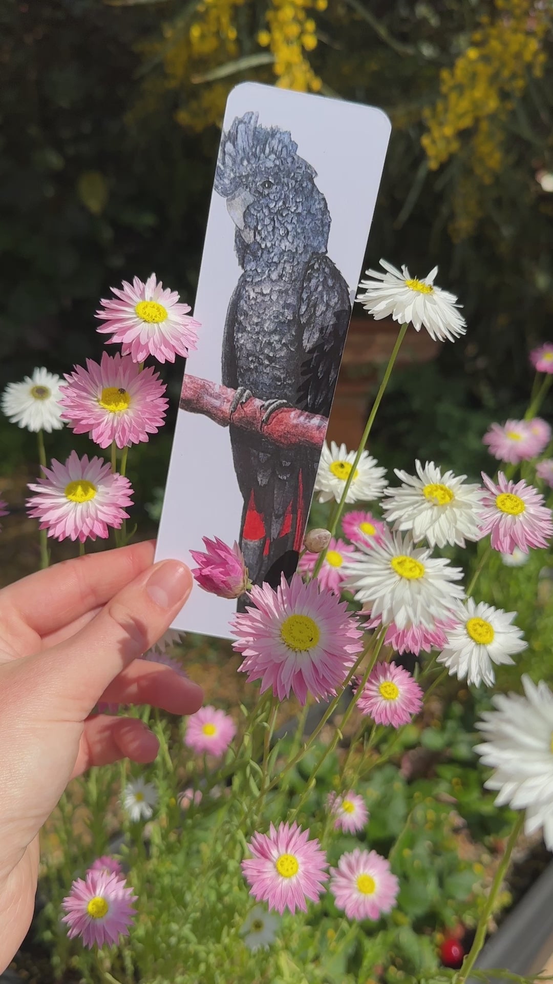 Bookmark: Male RTBC