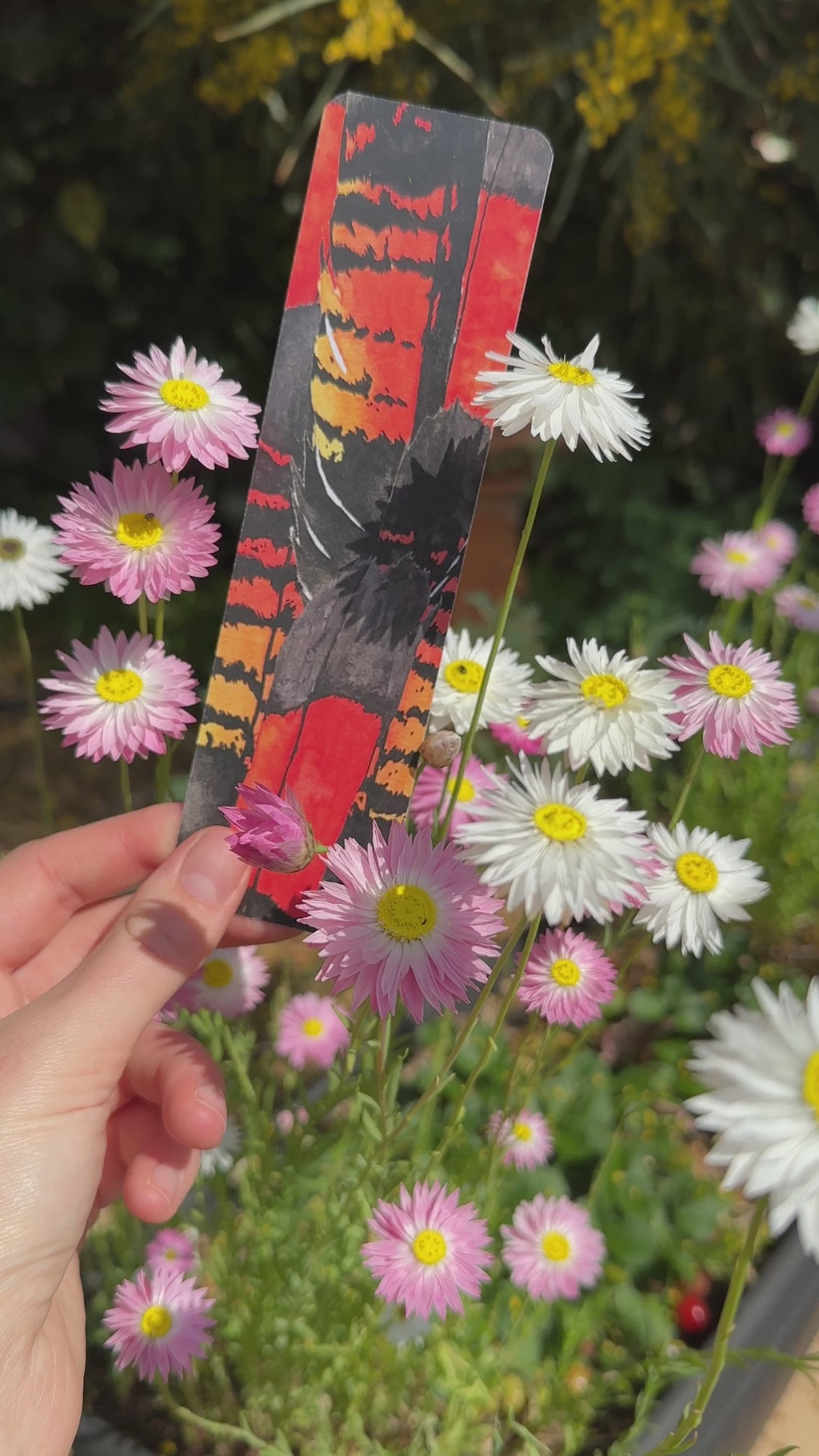 Bookmark: Red-Tail Black Cockatoo Feather